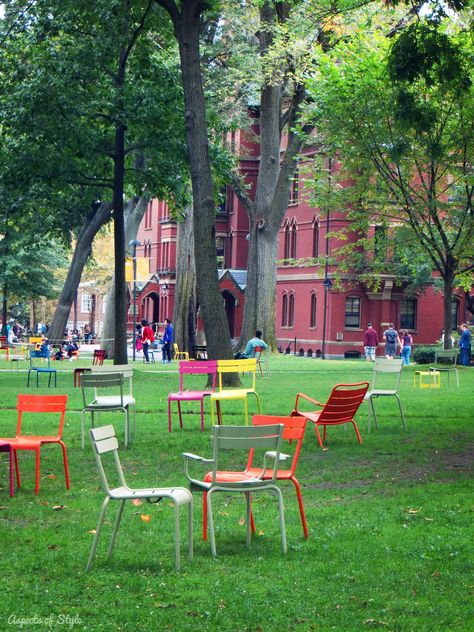 Harvard Yard Business School Outfit, Harvard Yard, Naturalistic Garden, Harvard Square, Schools In America, New England Fall, College Stuff, Cambridge Ma, Graphic Ideas