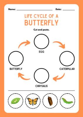 Life Cycle of a Plant Cut and Paste Worksheet - Templates by Canva Life Cycle Of A Butterfly Worksheet, Butterfly Cycle Preschool, Butterfly Life Cycle Worksheet, Cycle Of Butterfly, Butterfly Cycle, Evs Worksheet, Life Cycle Worksheet, Plant Life Cycle Worksheet, Toddlers Crafts