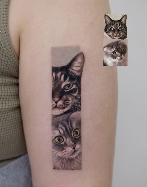 Cat Face Tattoos, Cat And Dog Tattoo, Cat Portrait Tattoos, Cat Tattoo Simple, Cute Cat Tattoo, Muster Tattoos, Cat Tattoo Designs, Tatuaje A Color, Memorial Tattoo