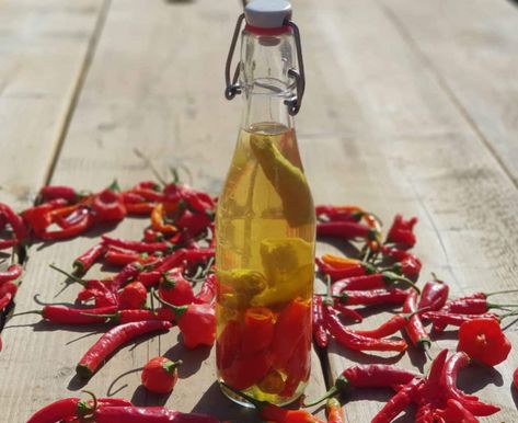 Hot Pepper Vinegar Recipe - WITH VIDEO - PepperScale Vinegar Peppers Recipe, Hot Pepper Vinegar, Vinegar Peppers, Hot Vinegar, Make Vinegar, Pepper Vinegar, How To Make Vinegar, Pickled Hot Peppers, Pepper Sauce Recipe