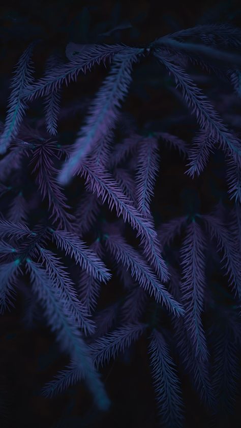 Dark Purple Aesthetic Wallpaper, Aesthetic Wallpaper Landscape, Wilderness Aesthetic, Iphone Wallpaper Planets, Purple Aesthetic Wallpaper, Instagram Black Theme, Violet Aesthetic, Purple Flowers Wallpaper, Iphone Dynamic Wallpaper