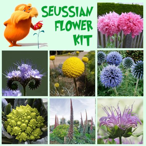 Dr Seuss flower Seeds! #lorax Dr Suess Garden Ideas, Dr Suess Flowers, Dr Seuss Garden, Dr Suess Garden, Dr Seuss Flowers, Dr Seuss Plants, Dr Seuss Landscape, The Lorax Trees Diy, Diy Lorax Trees