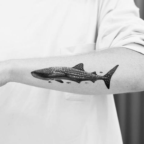 Realism whale shark tattoo by @bachtzbali Small Shark Tattoo, Whale Shark Tattoo, Koi Dragon Tattoo, Sea Life Tattoos, Have A Wonderful Night, Underwater Tattoo, Nautical Tattoo Sleeve, Animal Tattoos For Men, Marine Tattoo