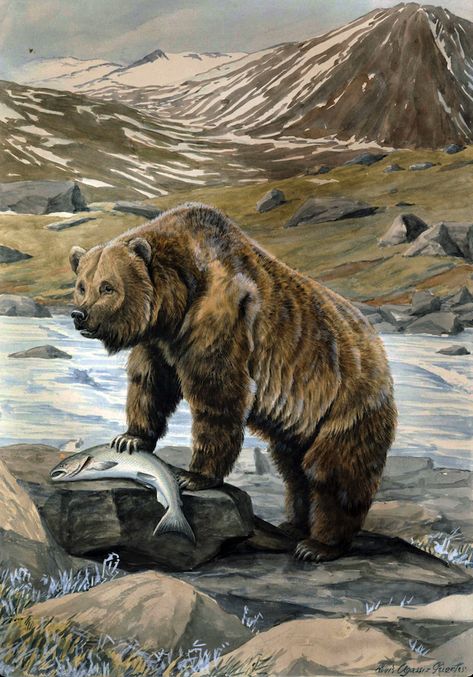 Brown Bear Art, Alaskan Brown Bear, Artstation Concept Art, North American Wildlife, Nature Poster, Bear Hunting, Living Room Art Prints, Bear Paintings, Bear Drawing