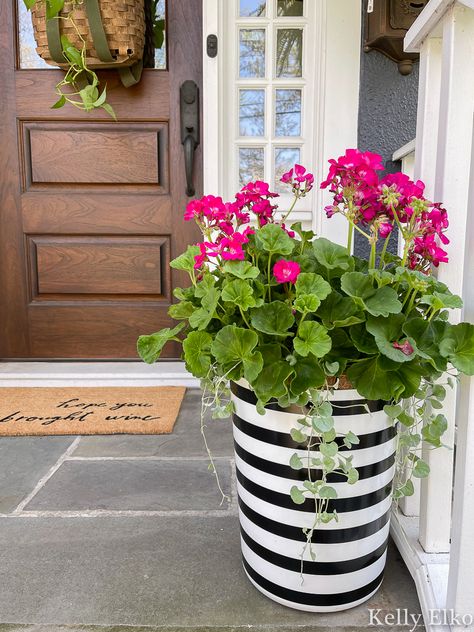 Black And White Pots For Plants Outdoor, Planter Ideas With Geraniums, Flower Pots With Geraniums, Pink Potted Plants Outdoor, Black And White Planters Diy, Black And White Pots For Plants, Black And White Flower Pots, Small Porch Flower Ideas, Planters With Geraniums