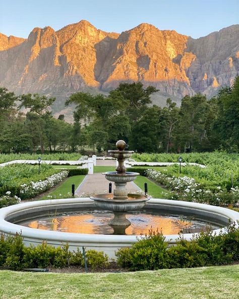 MolenVliet Vineyards on Instagram: “Molenvliet + Golden hour = 🤩😍⠀⠀⠀⠀⠀⠀⠀⠀⠀ Simply Heaven on Earth! ⠀⠀⠀⠀⠀⠀⠀⠀⠀ ⠀⠀⠀⠀⠀⠀⠀⠀⠀ #Stellenbosch #Drakenstein #StellenboschTravel…” Molenvliet Wedding, Stellenbosch Wedding, Afternoon Wedding, Late Afternoon, Vineyard Wedding, Heaven On Earth, Wedding Things, Small Wedding, Mountain View