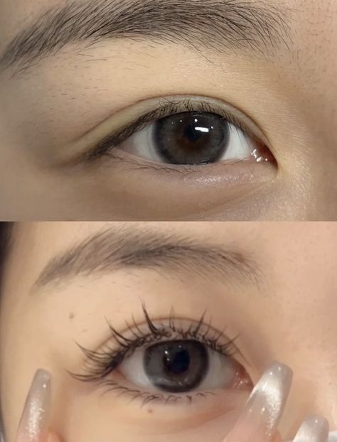 Natural Manhwa Lashes, Manga Eyelashes Natural, Lash Extensions Styles Natural Asian, Natural Manhua Lashes, Asian False Lashes, Chinese Eyelash Extensions, Asian False Eyelashes, Douyin Eyelash Extensions, Natural Manga Lash Extensions