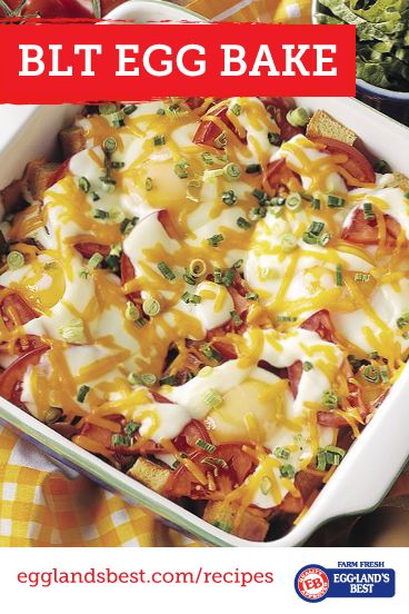 All the elements of a classic BLT in a delicious new recipe! #Breakfast Egglands Best Recipes, Blt Egg Bake, Blt Recipe, Favorite Breakfast Recipes, Egg Bake, All The Elements, Breakfast Casseroles, Bacon Tomato, Recipe Breakfast