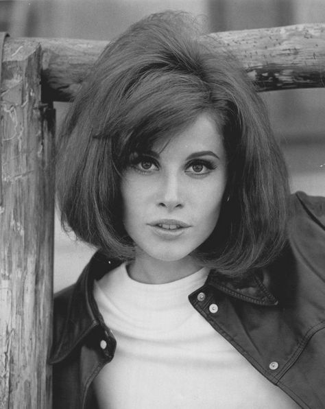 Young Stefanie Powers The Girl From Uncle, Stefanie Powers, Stephanie Powers, Classic Actresses, Vintage Hollywood, Classic Beauty, Up Girl, Vintage Beauty, Hollywood Stars