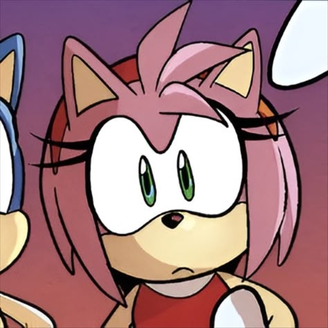 Sonic the hedgehog Sonic Matching Pfp Trio, Sonic The Hedgehog Blaze, Blaze The Hedgehog, Amy Rose Idw Comic, Sonic Trio Pfp, Sonic Blaze, Cursed Icons, 3 Matching Pfp, Amy Rose Hedgehog