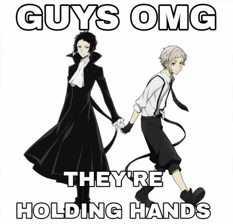 Bungou Stray Dogs Atsushi, Bsd Ships, Shin Soukoku, Bsd Memes, Silly Dogs, Bongou Stray Dogs, Stray Dogs Anime, Anime Ships, Best Anime Shows