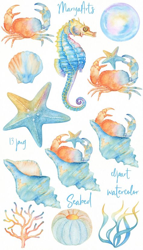 Seaweed Template, Undersea Watercolor, Sea Clipart, Illustrations Design, Visual Memory, Pola Kartu, Seni Cat Air, Sea Horse, Watercolor Paintings Tutorials