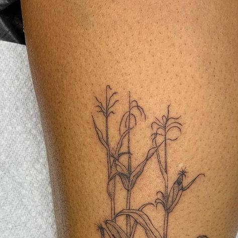 Sam lott on Instagram: "Some Corn stalks from yesterday for all those proud Midwesterners out there. #corntattoo #midwesttattoo #finelinetattoo #finelineartist #freedominktattoos #midwestpride #tattoo" Cornstalk Tattoo, Corn Tattoo Ideas, Corn Stalk Tattoo, Corn Tattoo, Artsy Tattoos, Basic Tattoos, Corn Grain, Corn Stalks, Dainty Tattoos