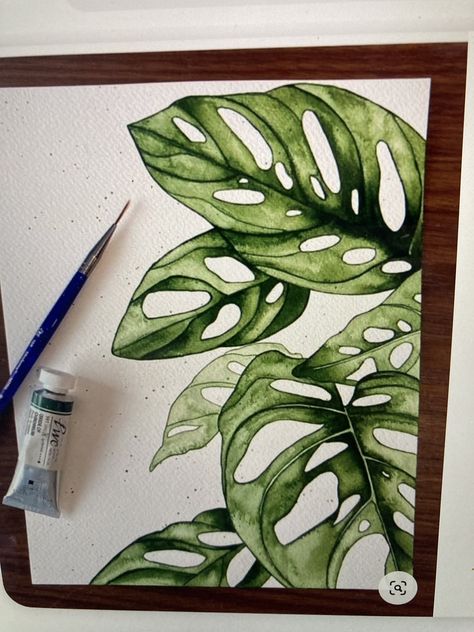 Monstera Adansonii, Green Planet, Watercolour Inspiration, Leaf Wall, Plant Painting, 수채화 그림, Plant Drawing, Young Professional, Lukisan Cat Air