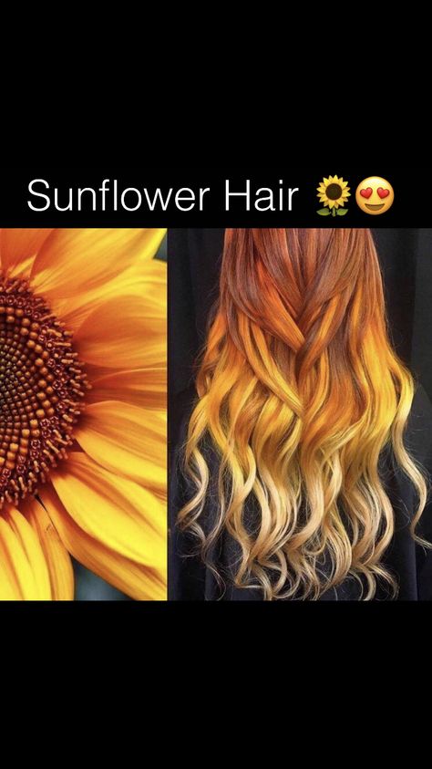 Sunflower Ombre Hair, Sunflower Hair Color Ombre, Sunflower Hair Color, Sunrise Hair, Orange Ombre Hair, Exotic Hair Color, Yellow Hair Color, Sunflower Hair, Rave Hair