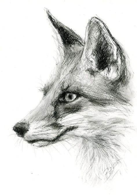 Fox Drawing Outline, Fox Drawing Realistic, Drawings Of Owls, Fox Drawing Sketches, Fox Paintings, Landscape Drawing Tutorial, Animals Portrait, Fox Sketch, Horse Art Drawing