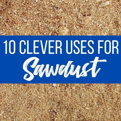 Saw Dust Crafts, Uses For Sawdust, Sawdust Uses, Diy Organize, Fire Starters Diy, Saw Dust, Organize Ideas, Helpful Hacks, Root Cellar