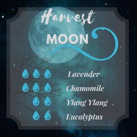 Moon Diffuser, Fall Diffuser Blends, Helichrysum Essential Oil, Doterra Diffuser Blends, Essential Oils For Colds, Aromatherapy Recipes, Essential Oil Diffuser Blends Recipes, Essential Oil Remedy, Ylang Ylang Essential Oil