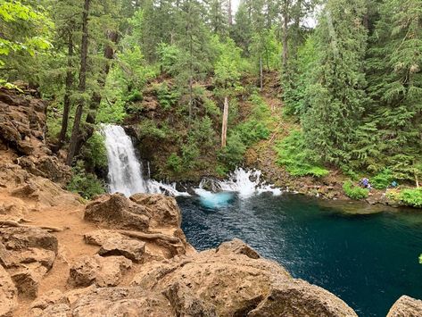 Cool off this summer with a visit to these seven Oregon waterfalls, all of which offer refreshing waters and resplendent scenery. Oregon Trip, Dry River, Oregon Waterfalls, Refreshing Water, Multnomah Falls, River Bed, Blue Pool, River Trail, Columbia River Gorge