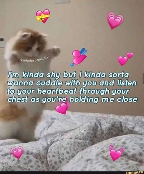 kinkyandwholesome on Instagram: “tag your baby💖💕 🌌 🌌 🌌 🌌 🌌 🌌 🌌 🌌 🌌 🌌 #wholesomememes #wholesome #wholesomegfmemes #softmemes #lovememes #reactionpics #love #boyfriend…” Lets Cuddle Wholesome, Wholesome Relationship Aesthetic, Things To Send Ur Bf Spicy, Cute Memes For Him, Wholesome Texts, Love Memes For Him, Flirty Memes, Wholesome Pictures, Memes Love