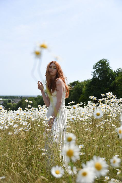 Daisy field Bridal photo shoot for Lucys Magazine Field Of Daisies, Field Photoshoot, Daisy Field, Flower Photoshoot, Spring Photoshoot, Illustration Manga, Nature Photoshoot, Bridal Photo, Fields Photography