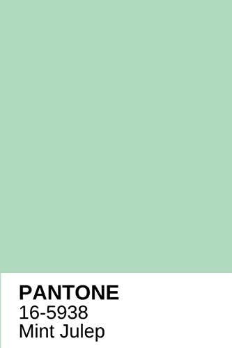 pantone 16-5938 mint Julep is one of the trendiest color of this year 2022 Mint Pantone, Childcare Website, Mint Green Paint, Shades Of Mint Green, Mint Color Palettes, Mint Green Paints, Mint Room, Mint Rooms, Bakery Design Interior