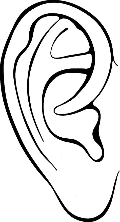 Ear Coloring Page, Ear Sketch, Fun Anatomy, Ears Drawing, Ear Drawing, Colouring Activities, Ear Picture, How To Draw Ears, Anatomy Coloring Book