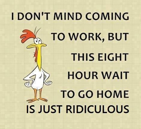 Funny Day Quotes, Funny Cartoons Jokes, Work Quotes Funny, Good Morning Funny, Funny Quotes Sarcasm, Minion Quotes, Work Jokes, Funny Cartoon Quotes, Cartoon Quotes