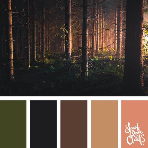 Forest colors // Click for more color schemes, mood boards and color combinations inspired by the PANTONE colors for Spring/Summer 2019! #color #pantone #colortrend Pine Forest Color Palette, Spring Forest Color Palette, Magical Forest Color Palette, Forest Mood Board, Forest Colour Palette, Color Palette Forest, Forest Color Palette, Summer Color Trends, Forest Colors