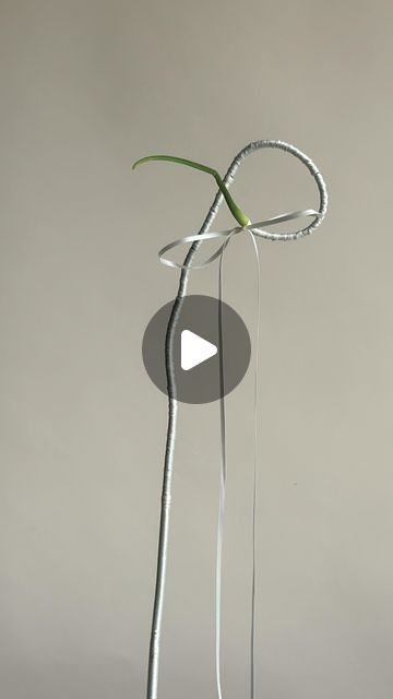 NYC Wedding Florist on Instagram: "When you have a crazy idea to wrap ribbon on garlic scapes and it becomes your entire personality…." Garlic Scapes, Nyc Wedding, Wedding Florist, Wedding Bouquet, Florist, Garlic, Ribbon, On Instagram, Instagram