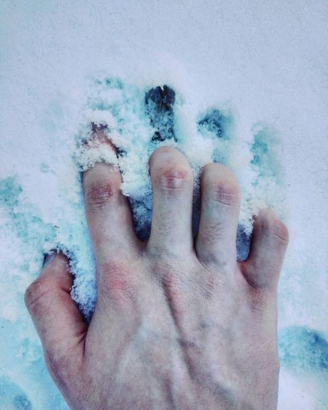 Too cold ___ #photography #photo #nature #light #snow #white #hand #bruise #hurt #tumblr Cold Hands Aesthetic, Cold Photography, Nature Light, Le Cri, House Stark, Six Of Crows, The Guardians, Photo Nature, Cold Hands