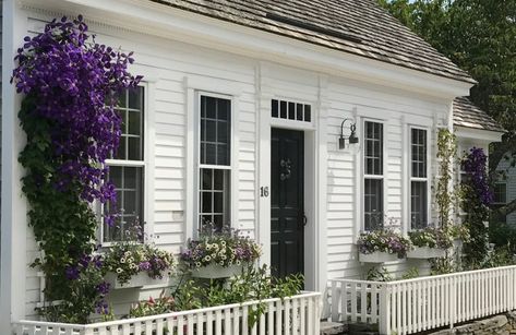 Cape Cod Window Boxes, Nantucket Window Boxes, Dream Bungalow, Cottage Gardening, Nantucket Cottage, Colonial House Exteriors, Red Houses, England Summer, Saltbox Houses