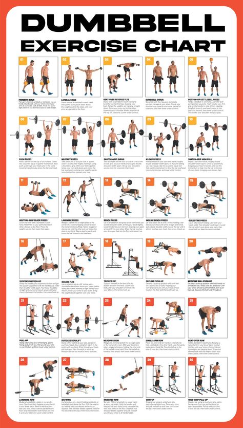 Printable Dumbbell Exercise Chart Dumbbell Exercise Chart, Dumbbell Workout Chart Printable, Dumbbell Workout Poster, Dumbell Workout Chart, Dumbbell Excersise, Dumbell Workout List, Weider Home Gym Workouts Chart, Dump Bell Workouts, Basic Dumbbell Exercises