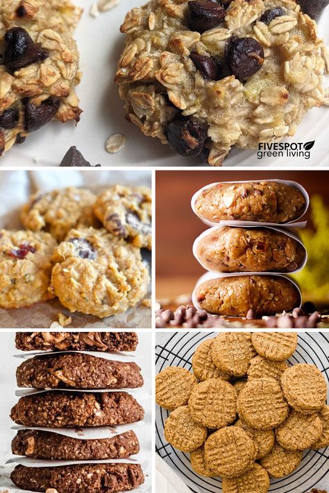 27 Amazing High Fiber Cookie Recipes - Five Spot Green Living High Fiber Cookie Recipes, Fiber Cookies Healthy, High Fiber Oatmeal Cookies, High Fiber Sweets, High Fibre Cookies, High Fiber Breakfast Cookies, High Fiber Baked Goods, High Fiber Cookies Healthy, High Fiber Dessert Recipes