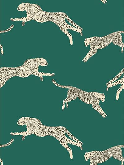 Cheetah Wallpaper, Dark Green Background, Tiger Pattern, Animal Print Wallpaper, Wallpaper Rolls, A Signature, Ffa, Print Wallpaper, Leopards