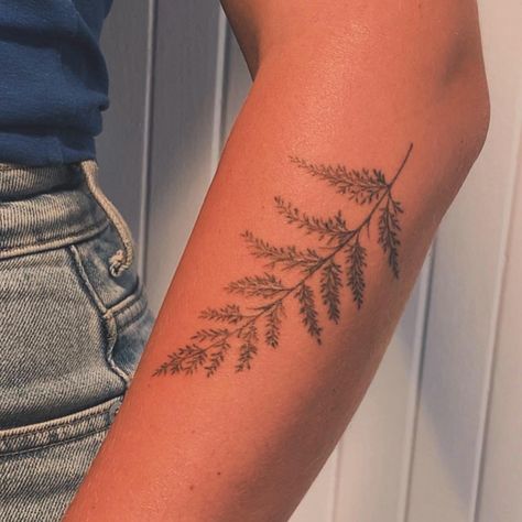 I ♡ BOTANICALS • WOULD LOVE TO TATTOO SOME ZA’ATAR #naturetattoos #finelinetattoos #delicatetattoos #leavestattoos #leaftattoodesign #leaftattoos