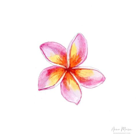 Painting Stuff Aesthetic, Plumeria Watercolor Painting, Beach Flowers Painting, Plumarias Flower Drawing, Water Colour Prints, Frangipani Flower Drawing, Watercolor Frangipani, Frangipani Wallpaper, Cute Little Paintings