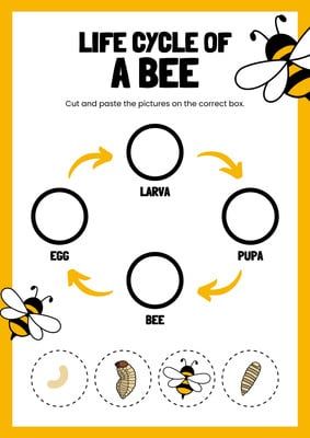 Life Cycle of A Duck Yellow White English Cut And Paste Worksheet - Templates by Canva Life Cycle Of A Bee Craft, Bee Cycle Life, Life Cycle Of A Bee Free Printable, Bee Activity For Preschool, Bee Preschool Activities, Lifecycle Of A Bee, Bee Life Cycle Craft, Bee Activities For Preschool, Bee Lifecycle