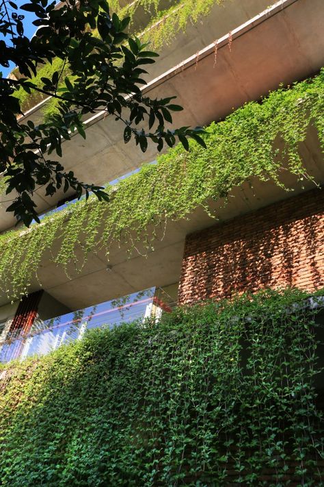 Karim+Residence+/+ARCHFIELD Curtain Creeper, Cascading Plants, Creepers Plants, Green Facade, Contemporary Building, Balcony Plants, Green Architecture, House Plants Decor, Roof Garden