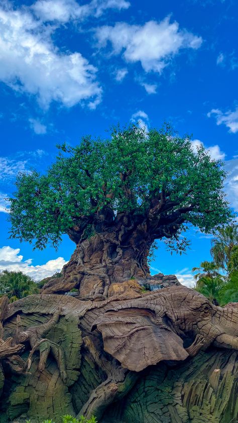 Walt Disney World Wallpaper Iphone, Disney World Phone Wallpaper, Walt Disney World Aesthetic Wallpaper, Walt Disney World Wallpaper, Disney World Wallpaper, Tree Of Life Disney, Disney Animal Kingdom Wallpaper, Tree Of Life Disney Animal Kingdom, Epcot Theme Park