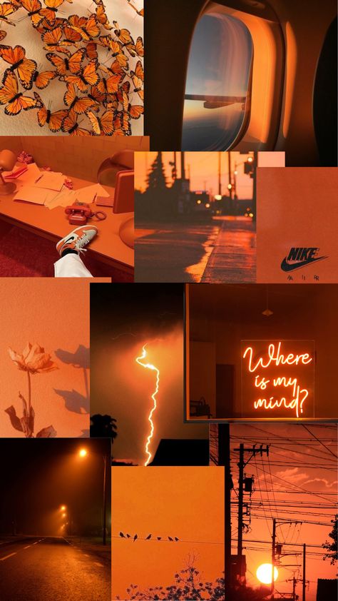 Cute Wallpapers Aesthetic Orange, Image Aesthetic Orange, Orange Wallpaper Iphone Aesthetic, Orange Moodboard Aesthetic, Orange Asthetics Wallpaper, Orange Cute Wallpaper, Aesthetic Orange Background, Black Orange Aesthetic, Cute Orange Wallpaper