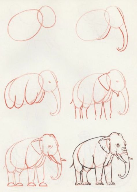 Draw An Elephant, Easy Pencil Drawings, Pencil Sketch Drawing, Elephant Drawing, Pencil Drawings Easy, 3d Drawings, Pencil Art Drawings, An Elephant, Step By Step Drawing