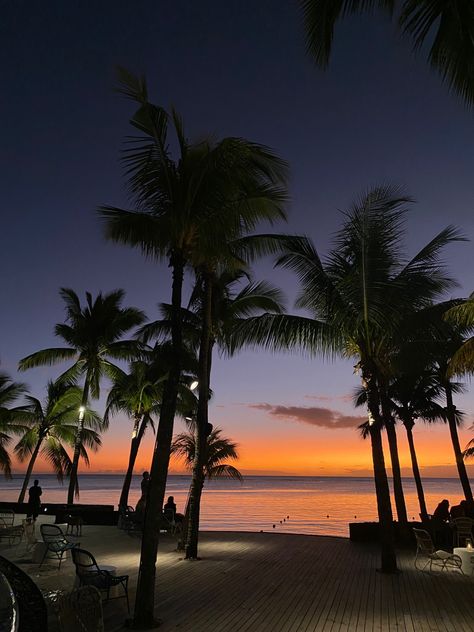 Beach And Palm Trees Wallpaper, Beach Silouhette Aesthetic, Palm Trees On Beach, Island Asthetic Picture, Summer Backrounds, Mauritius Sunset, Palms Aesthetic, Sunset Beach Palm Trees, Palm Trees Aesthetic