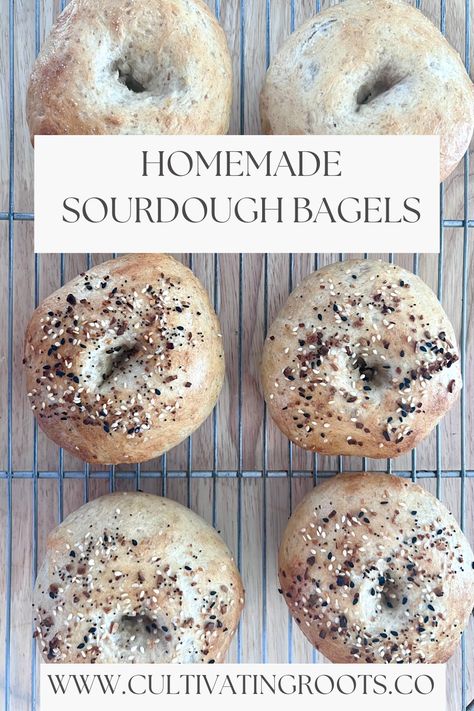 This is a picture of sourdough bagels, freshly out of the oven. Sourdough Beagles, Sourdough Bagels Recipe, Sourdough Bagel, Bagels Recipe, Sourdough Bagels, Homemade Sourdough, Homemade Bagels, Bagel Recipe, Sourdough Starter