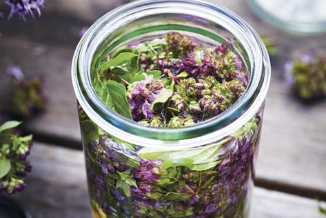 Oregano Flower-Infused Vinegar Recipe - mindbodygreen Gut Reset Diet, Oregano Flowers, Oregano Recipes, Infused Vinegars, Immune Boosting Foods, Herb Farm, Herb Recipes, Harvest Recipes, Vinaigrette Recipes