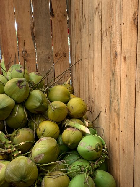 Filler Images, Aesthetic Coconut, Texture Fashion, Coconut Trees, Sky Full Of Stars, Mood Instagram, Coconut Tree, Summer Dream, Picture Collage