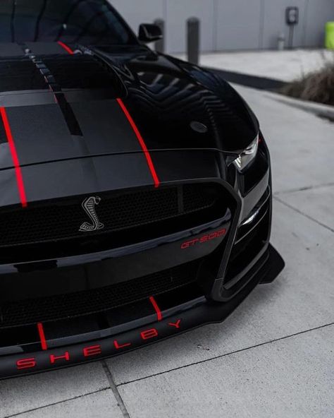 Shelby Gt 500, Black Mustang, Shelby Gt350, Mustang Gt500, Ford Mustang Car, Ford Mustang Shelby Gt500, Mustang Cobra, Cool Car Pictures, Ford Shelby