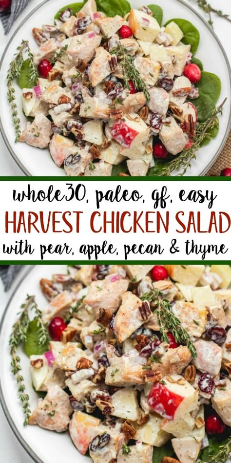 Harvest Chicken Salad, Paleo Chicken Salad, Paleo Menu, Mayo Chicken, Chicken Salad With Apples, Protein Dinner, Paleo Salads, Resep Salad, Diner Recept