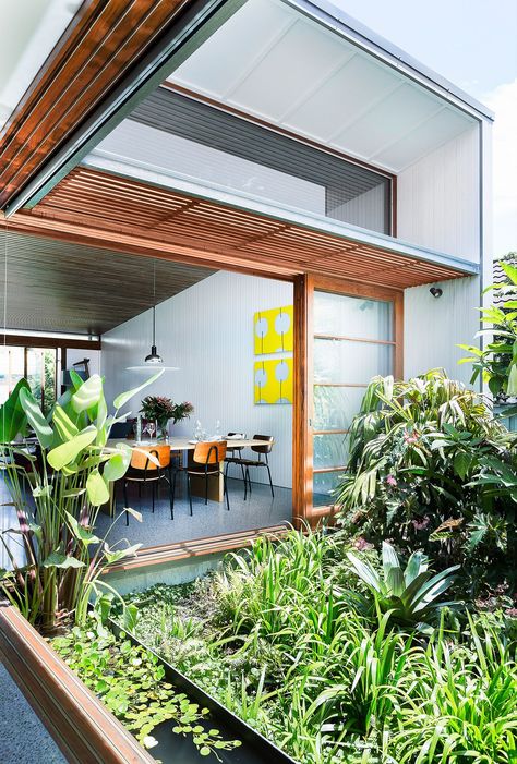 Leafy internal courtyard, polished concrete floor, blackbutt timber window frames and sliding doors, indoor/outdoor dining area, white vertical wood panelling on walls, yellow artwork, timber battens on ceiling Indoor Courtyard, Courtyard House Plans, Courtyard Design, Cozy Patio, Internal Courtyard, Small Courtyards, Bird Houses Diy, Courtyard House, Garden House