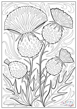 Thistle Colouring Page 2 Scotland Coloring Pages, Thistles Art, National Flower, Highland Games, Colouring Page, Thistle Flower, Coloring Ideas, Colour Pop, Purple Colour